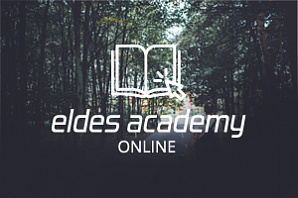 Курс обучения в бесплатной онлайн академии ELDES
