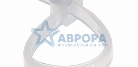Хомут 2.5х100мм нейлон (100шт) белые REXANT (07-0100)