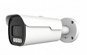AK-IP2-BL/AF-PoE, цветная IP-видеокамера